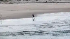 SOS Cabedelo alerte sur l'érosion côtière et la sécurité de la navigation à Figueira.