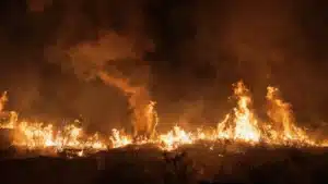Trois fronts actifs dans l'incendie de Vinhais qui se dirige vers Ervedosa.