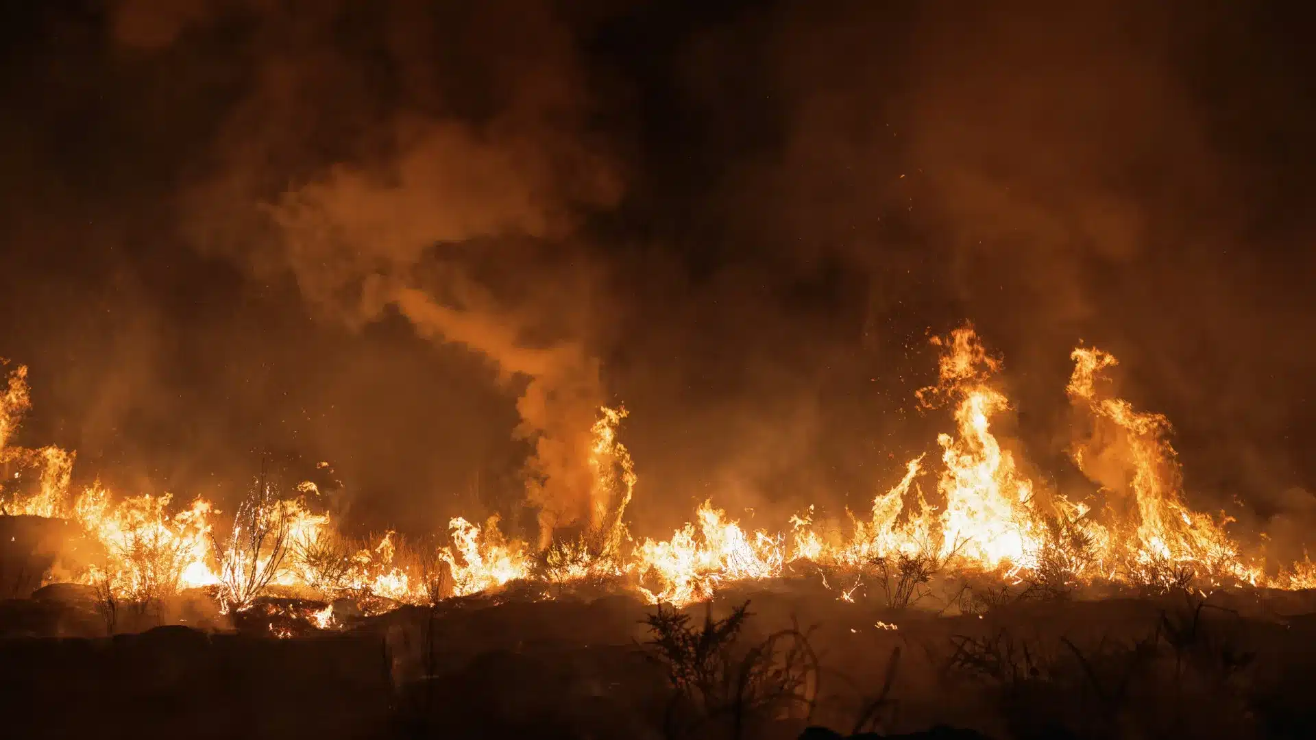 Trois fronts actifs dans l'incendie de Vinhais qui se dirige vers Ervedosa.