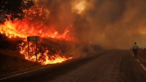 Un habitant du village de Lousã a libéré des cerfs pour qu'ils échappent au feu.