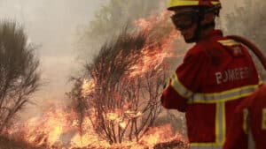Un incendie à Nisa se réactive et mobilise plus de 100 pompiers.
