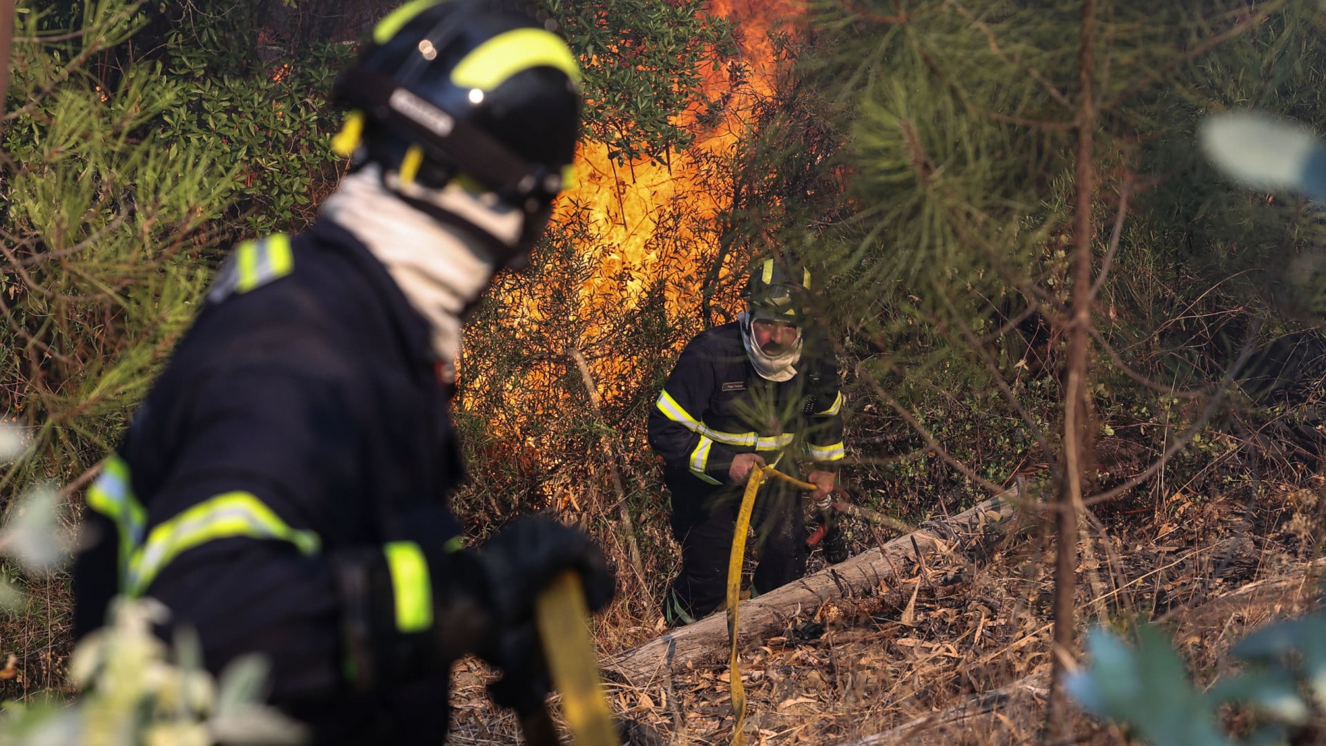 Un incendie oblige à évacuer cinq villages de Pedrógão Grande