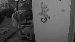 Un pompier filmé en train d'agresser une femme à Madère sera entendu jeudi.
