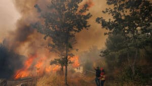 Un quart des incendies enquêtés cette année provient d'incendies criminels.