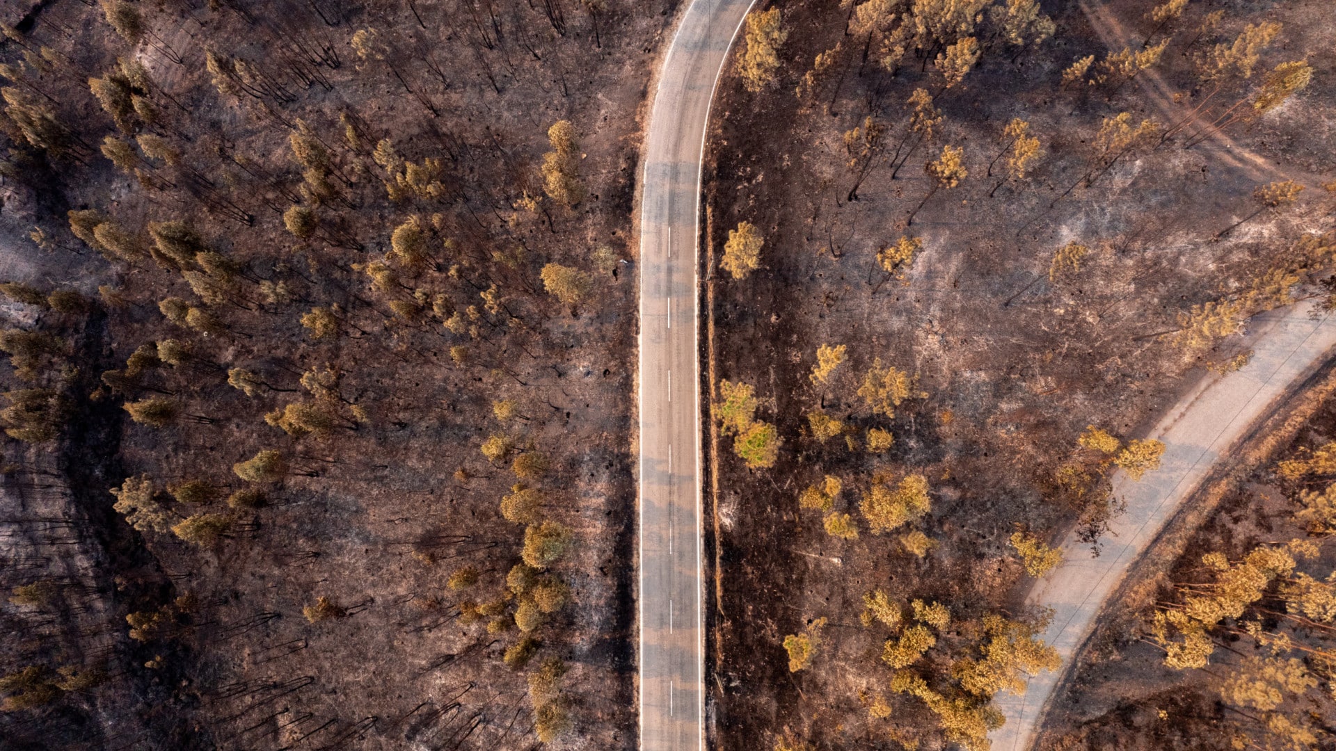 Un suspect arrêté pour avoir déclenché trois incendies à Ponte da Barca.