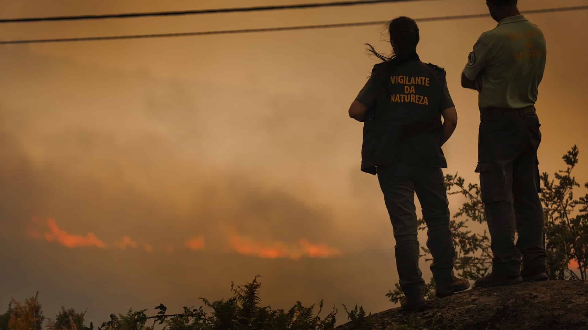 Vila Real demande un plan urgent pour le Parc Naturel de l'Alvão.