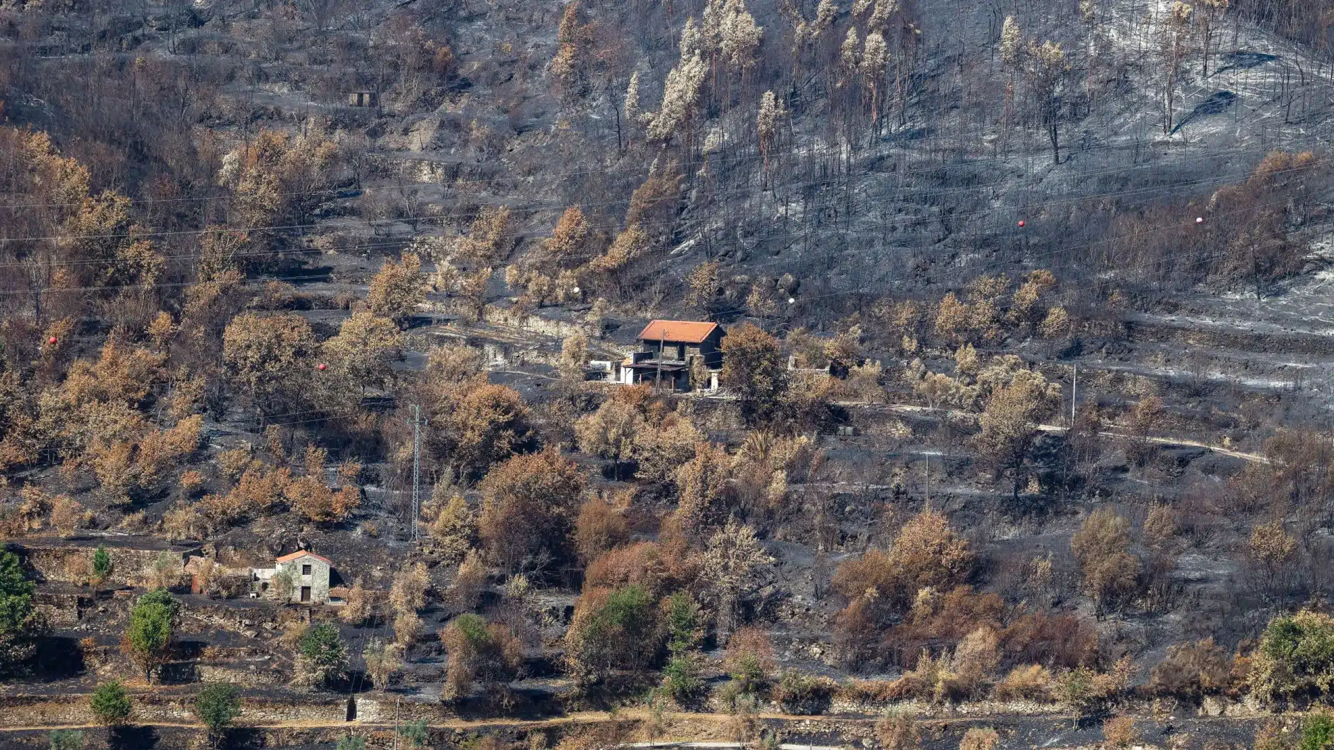 Annonce de 19 millions pour des travaux urgents et non urgents dans la forêt.