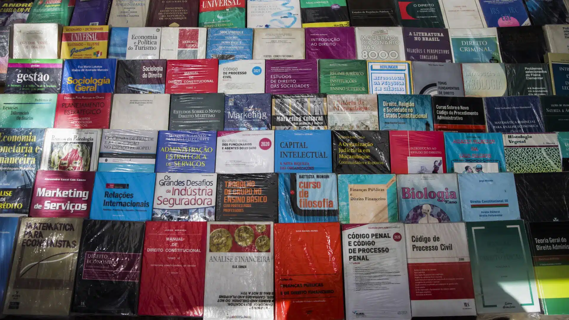 APEL : 76 % des Portugais disent qu'ils lisent, mais seuls 58 % achètent des livres.