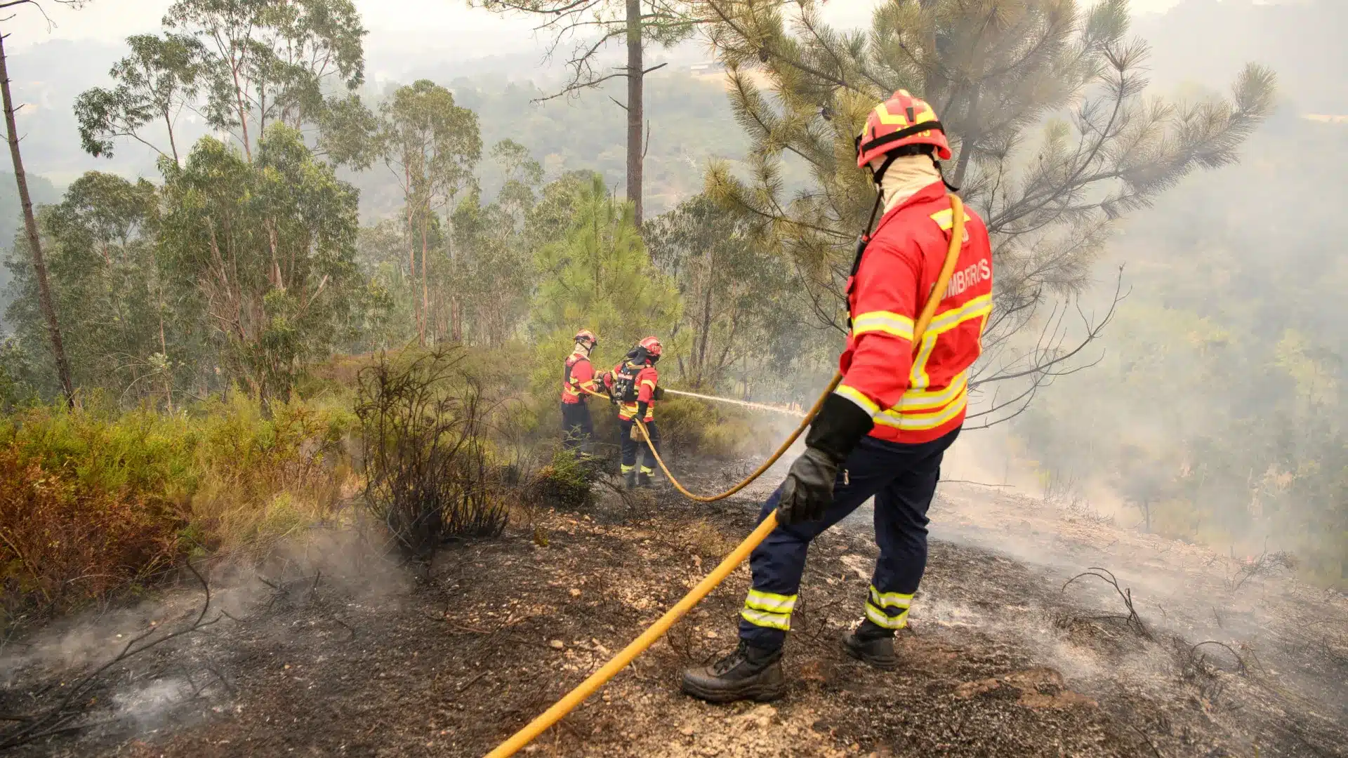 Associations humanitaires? Les pompiers demandent au gouvernement la création d'une carrière