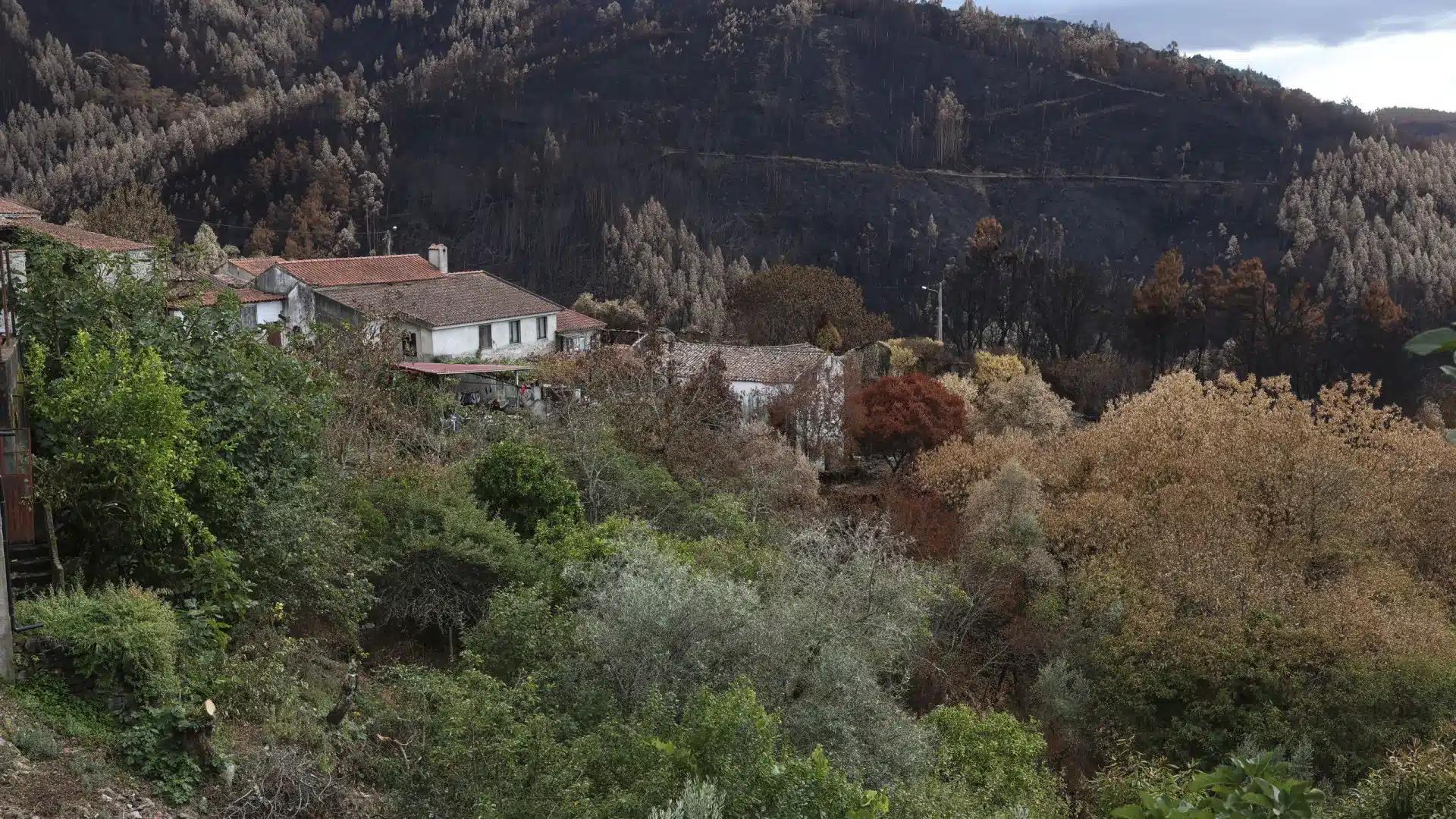 Attention ! Il y a 17 municipalités de quatre districts en danger maximal d'incendie.