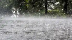 Attention, une vague de froid arrive : et elle apporte de la pluie ce week-end.