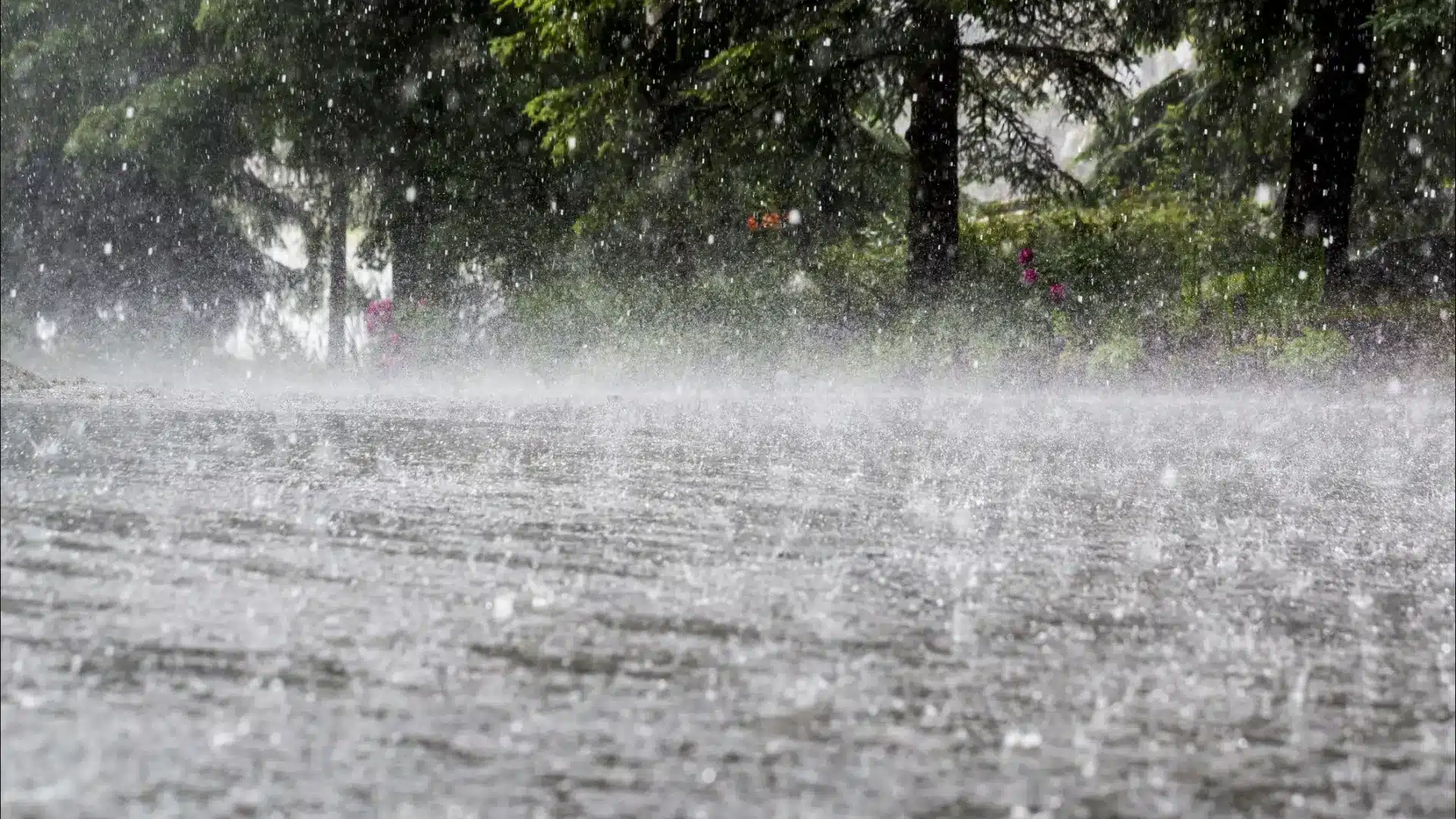 Attention, une vague de froid arrive : et elle apporte de la pluie ce week-end.