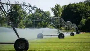Bruxelles promet de sauvegarder les agriculteurs dans l'accord avec le Mercosur.