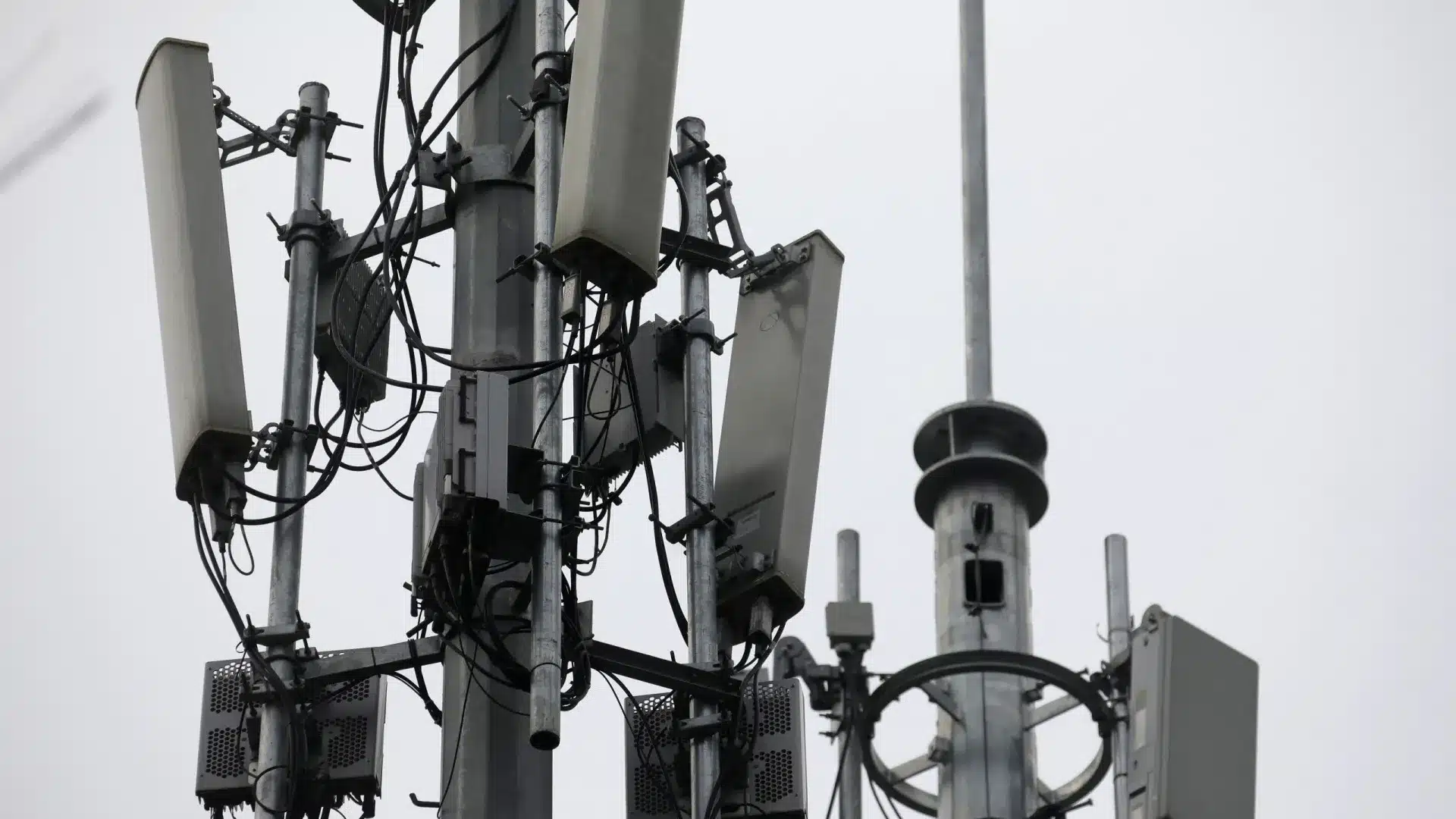 Deco remporte une action en justice contre les opérateurs de télécommunications.