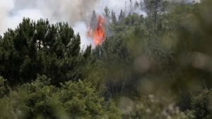 Feu à Murça maîtrisé après plus de 30 heures