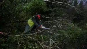 Gabrielle a causé 322 incidents dans le pays. La plupart ont été des chutes d'arbres.