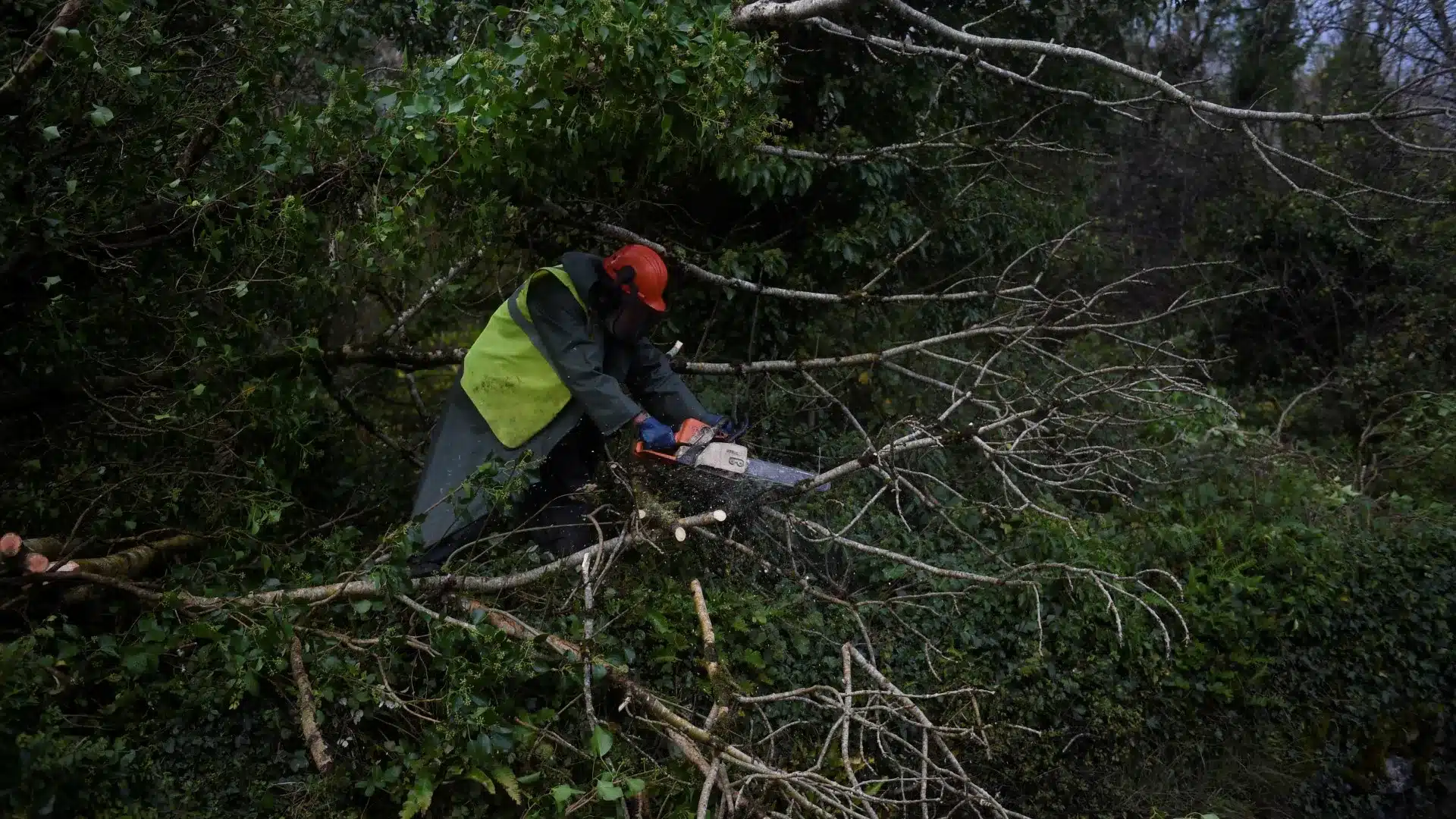 Gabrielle a causé 322 incidents dans le pays. La plupart ont été des chutes d'arbres.