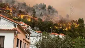 Grand incendie de la Ribeira Brava en 2024 avec un autre accusé.