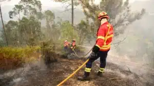 Homme arrêté pour crime d'incendie de forêt à Vialonga