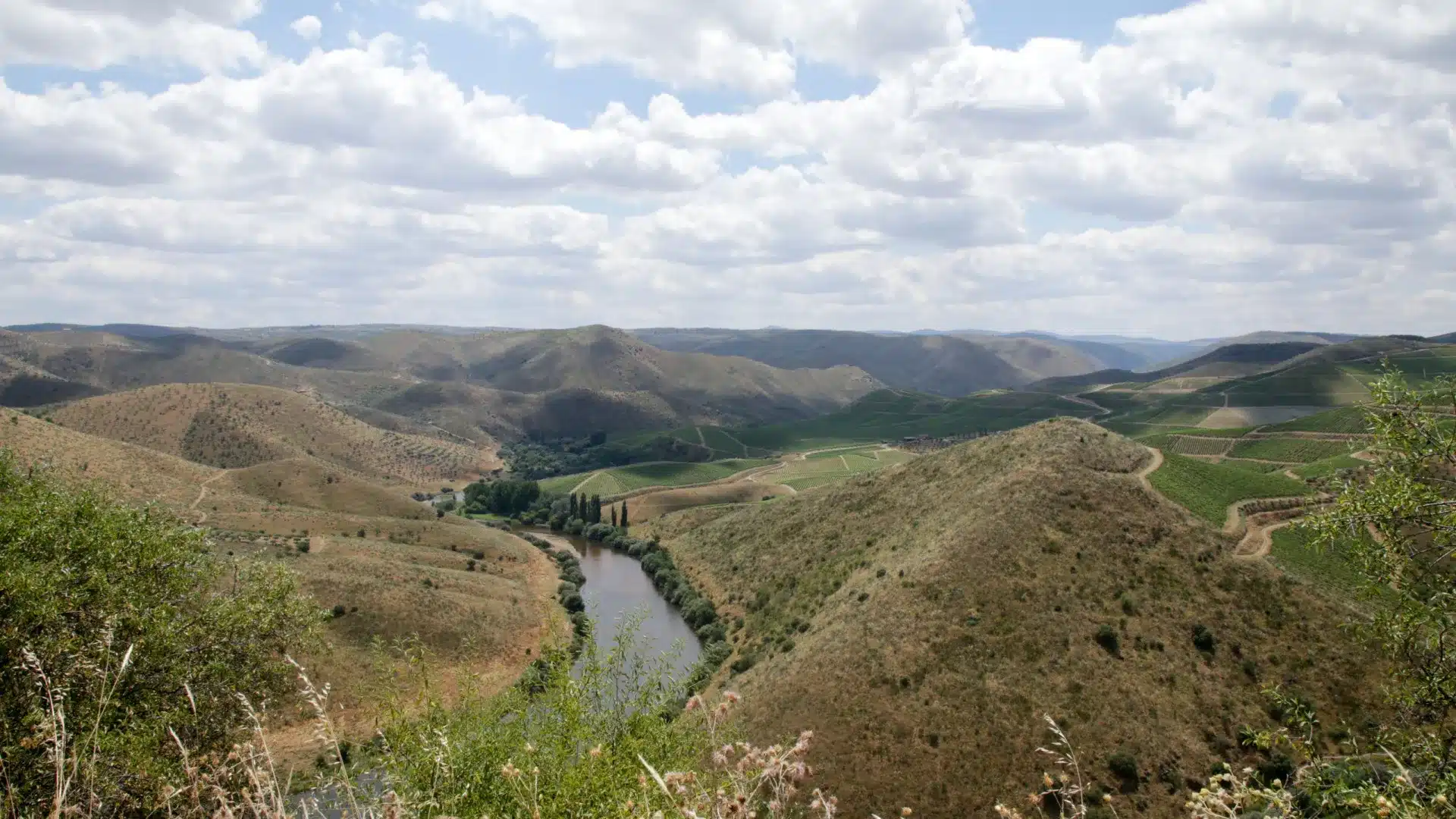 Il existe des vestiges de présence humaine datant de plus de 26 000 ans dans la vallée du Côa.