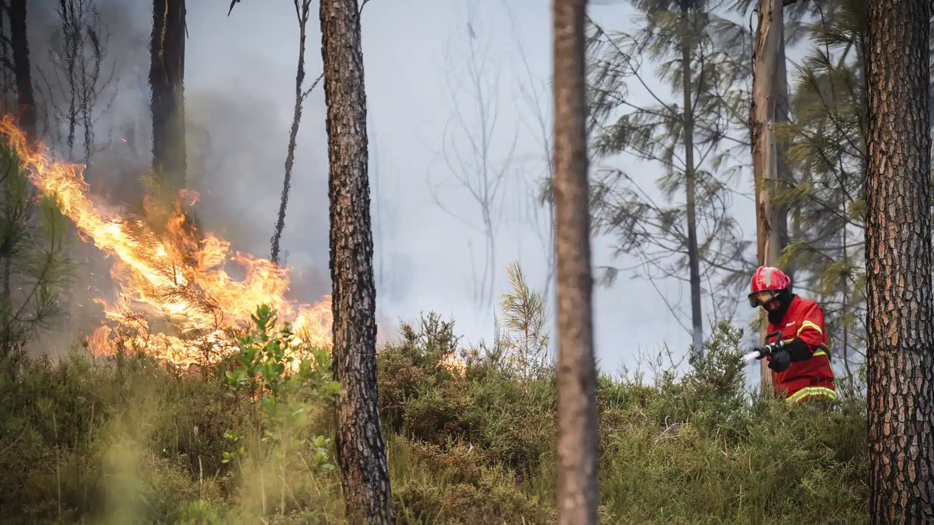 Incendie à Aljezur avec "plusieurs réactivations". La fumée "complique" le combat aérien.