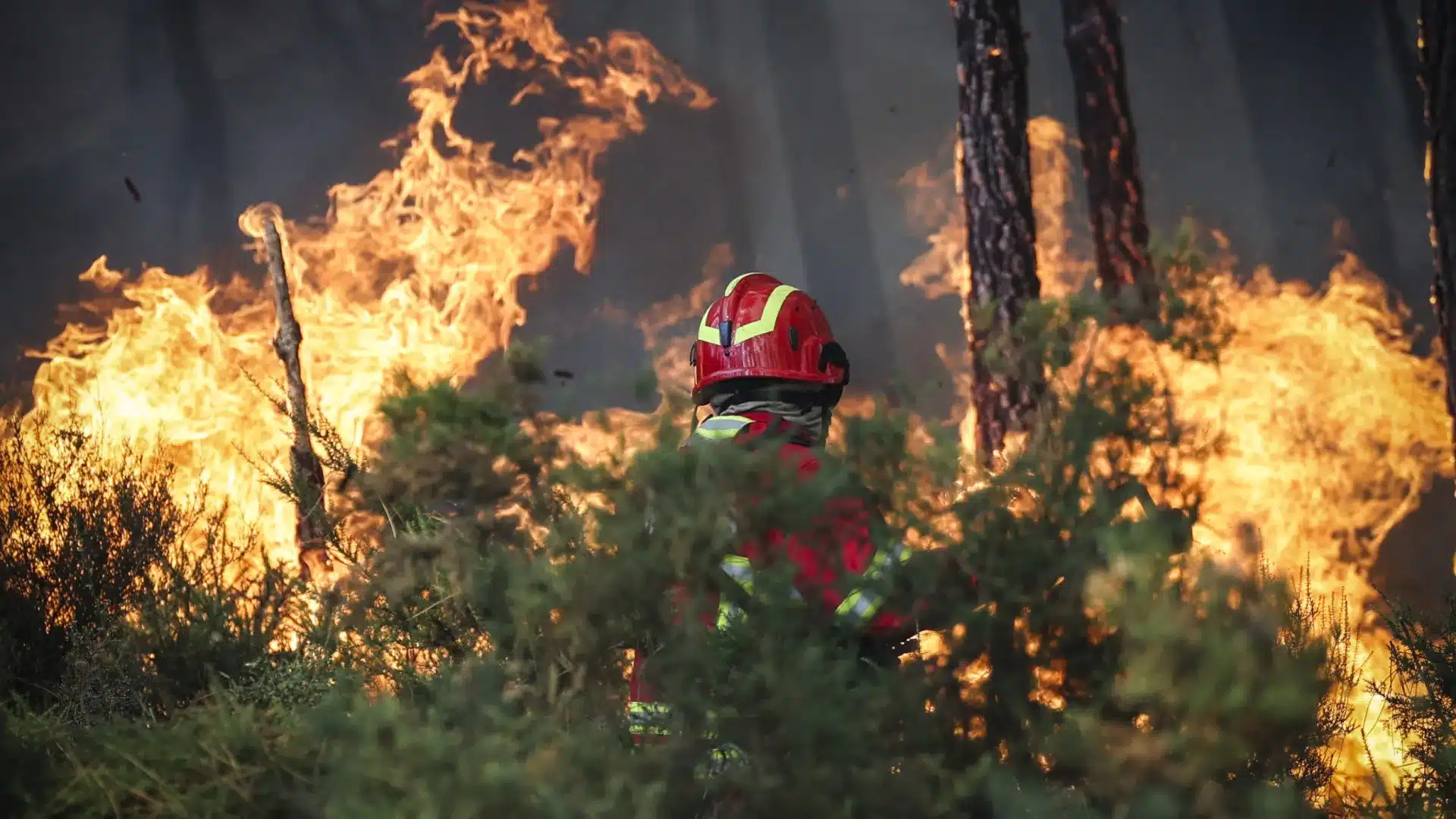 Incendie à Murça déclaré maîtrisé