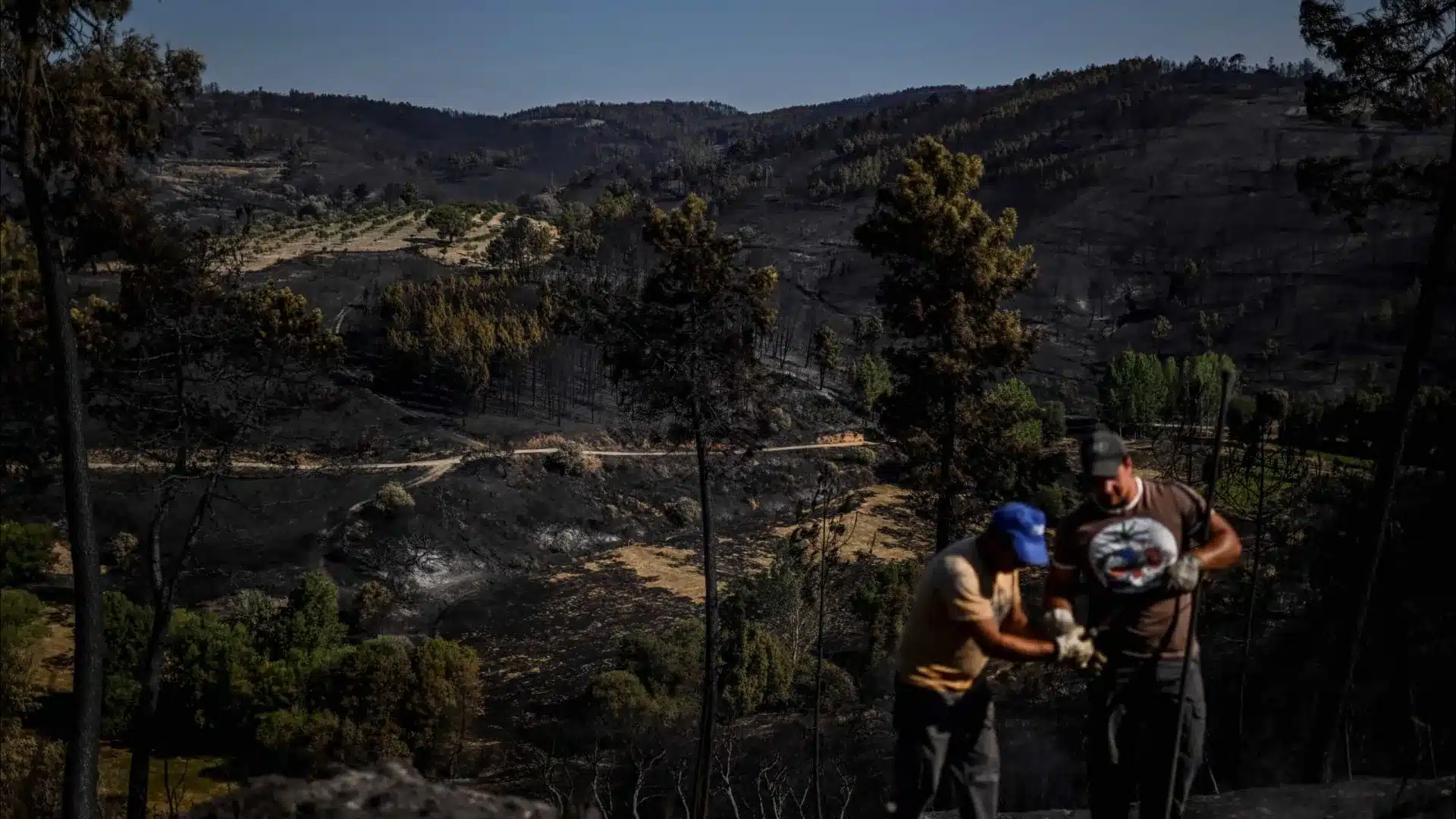 Incendie à Murça entre en phase de résolution