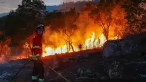 Incendie à Viseu maintient deux fronts actifs.