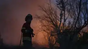 Incendies à Castro Daire et Oliveira do Hospital maîtrisés