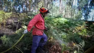 Incendies : Feu à Portalegre en phase de résolution