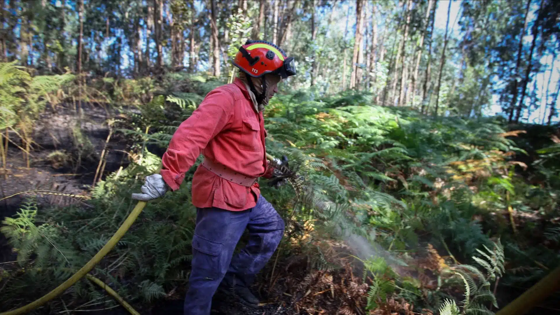 Incendies : Feu à Portalegre en phase de résolution