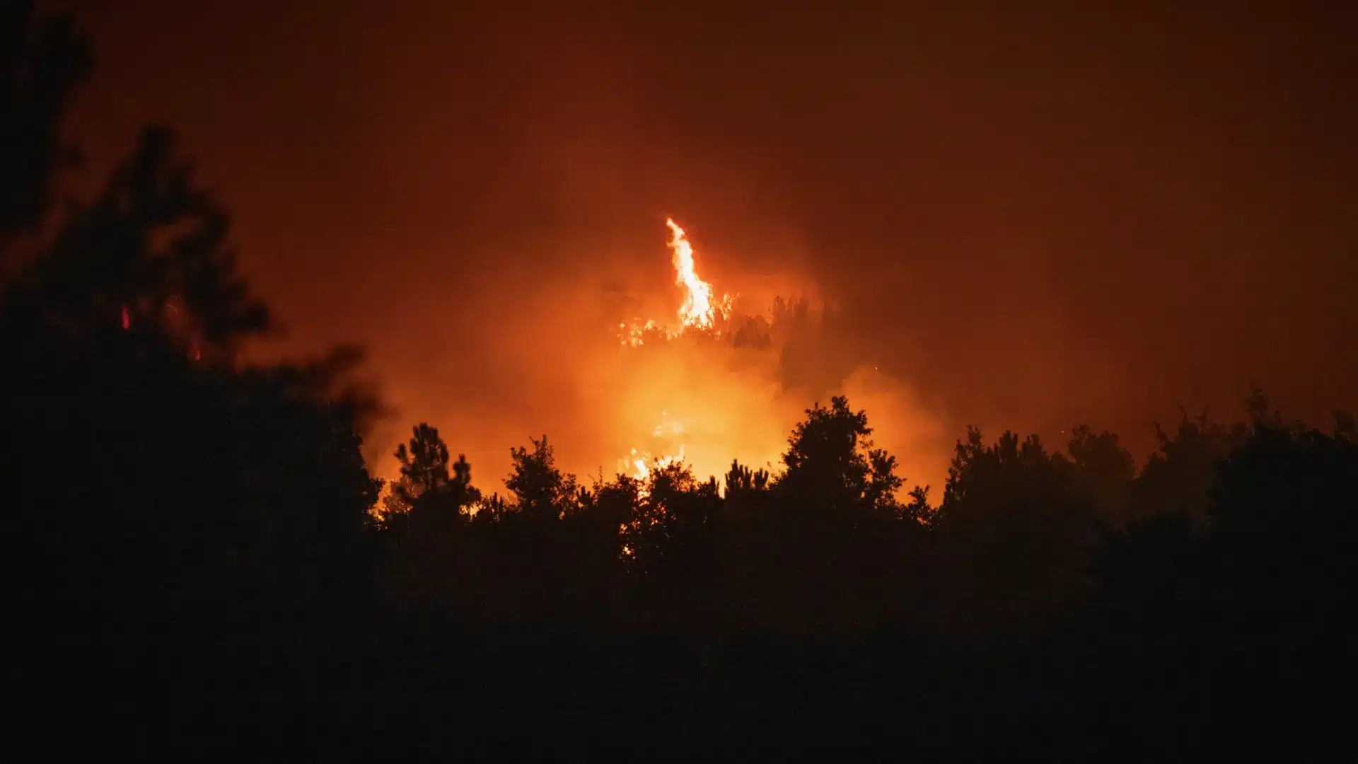 Incendies : La lutte contre la réactivation à Montalegre évolue favorablement.