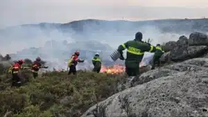 Incendies : le régulateur reçoit 16 participations concernant la couverture médiatique.