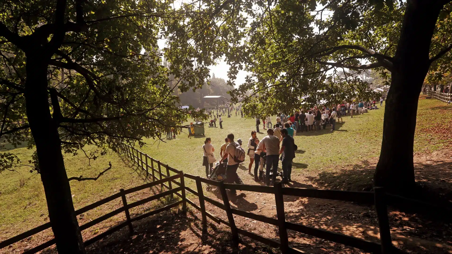 La Fête de l'Automne revient à Serralves avec 150 activités gratuites.