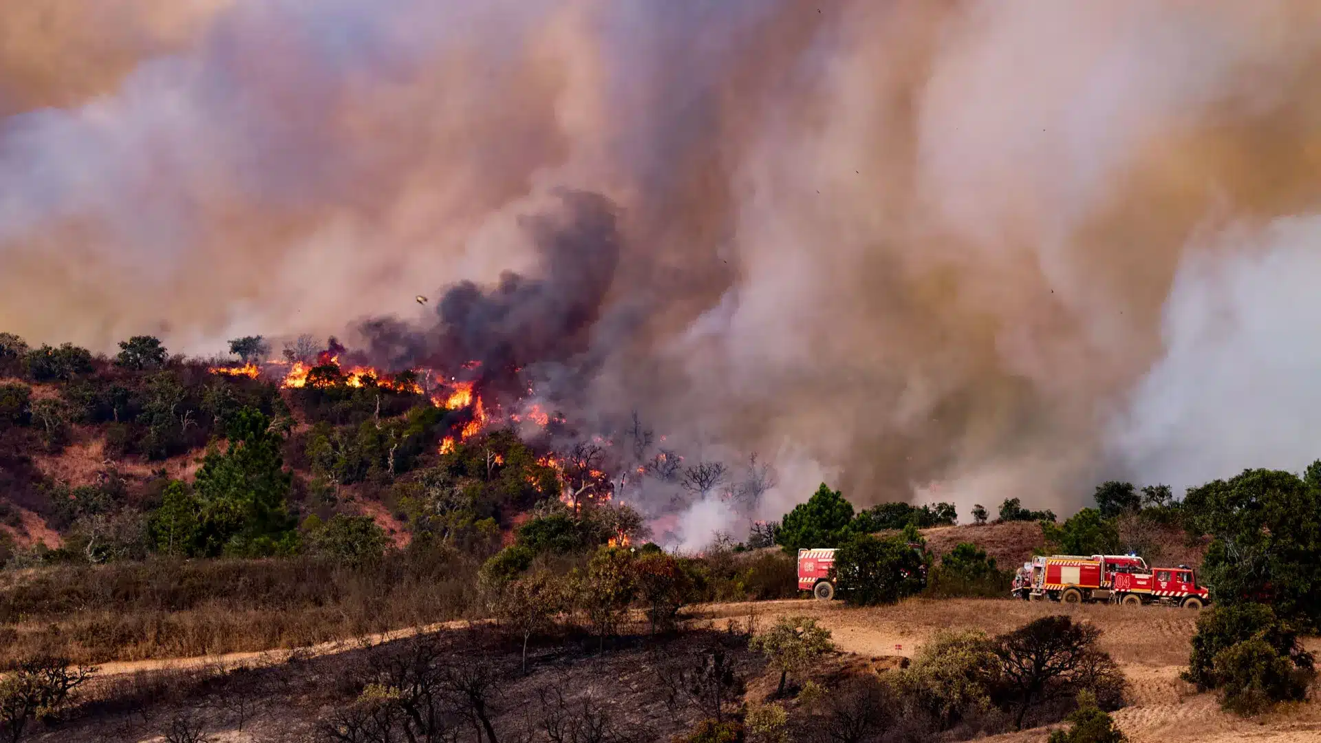 L'agence admet des "faiblesses chroniques" dans la gestion de la lutte contre les incendies.