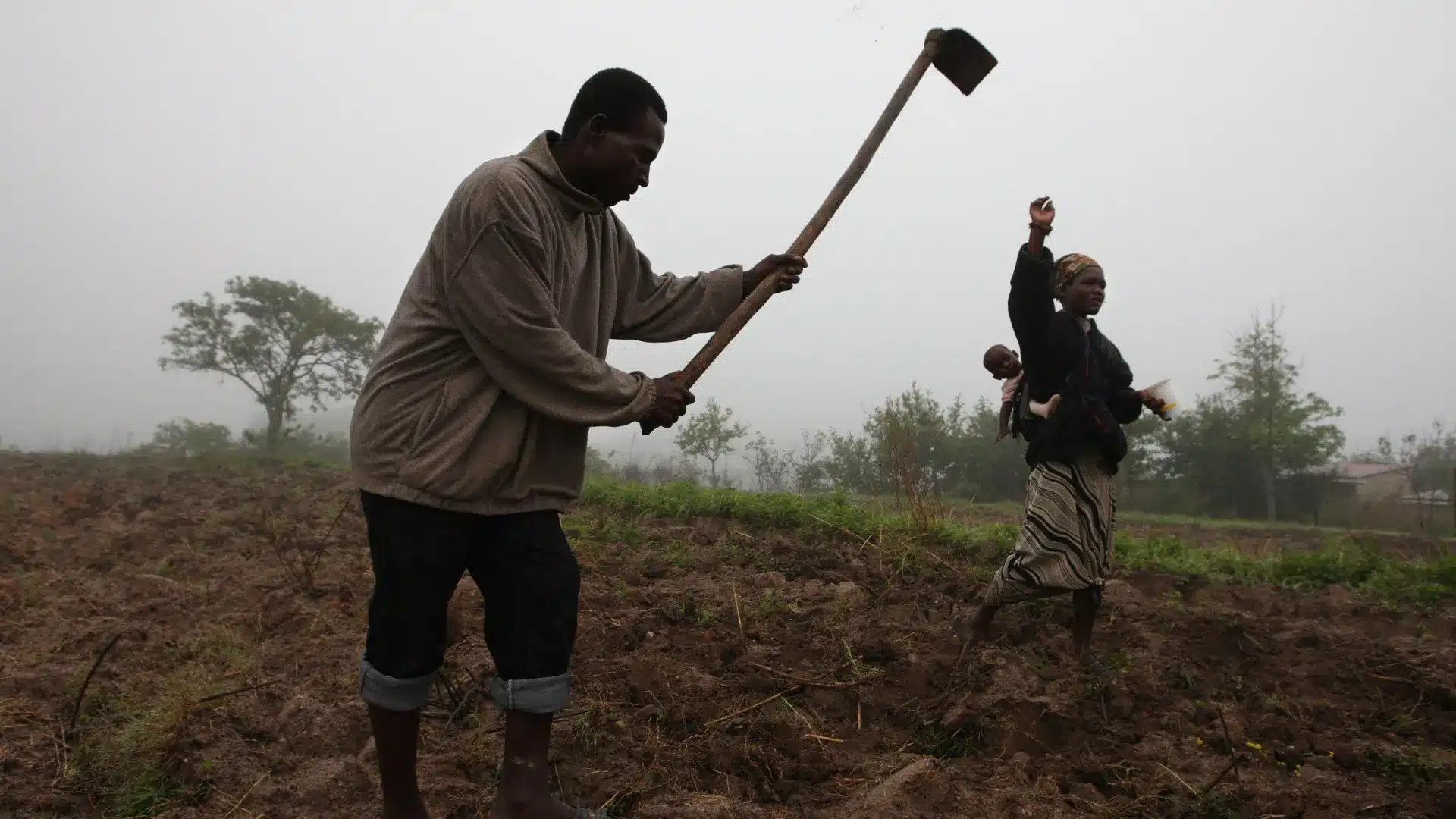 L'Allemagne finance des projets agricoles au Mozambique.