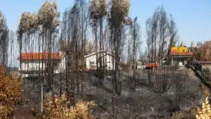 L'AR approuve des mesures de soutien et d'atténuation de l'impact des incendies ruraux.