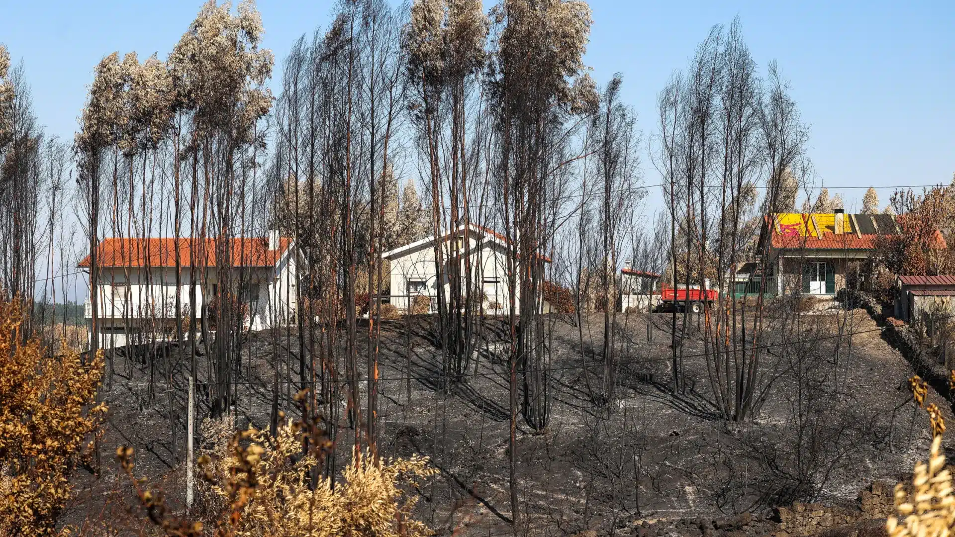 L'AR approuve des mesures de soutien et d'atténuation de l'impact des incendies ruraux.