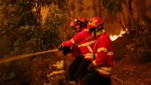 L'association réclame "des pompiers professionnels dans chaque commune".