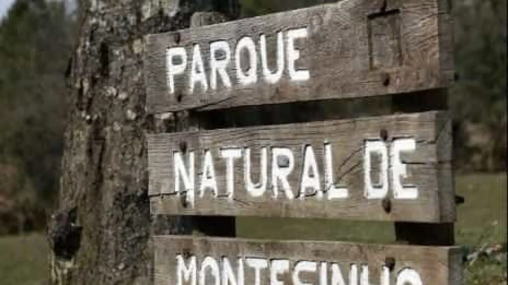 Le paysage du Parc Naturel de Montesinho embrasse la musique classique.