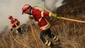 Les équipes de lutte contre le feu à Seia augmentent et les moyens aériens diminuent.