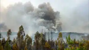 Les flammes ont déjà dépassé Oliveira do Hospital pour la commune de Nelas.