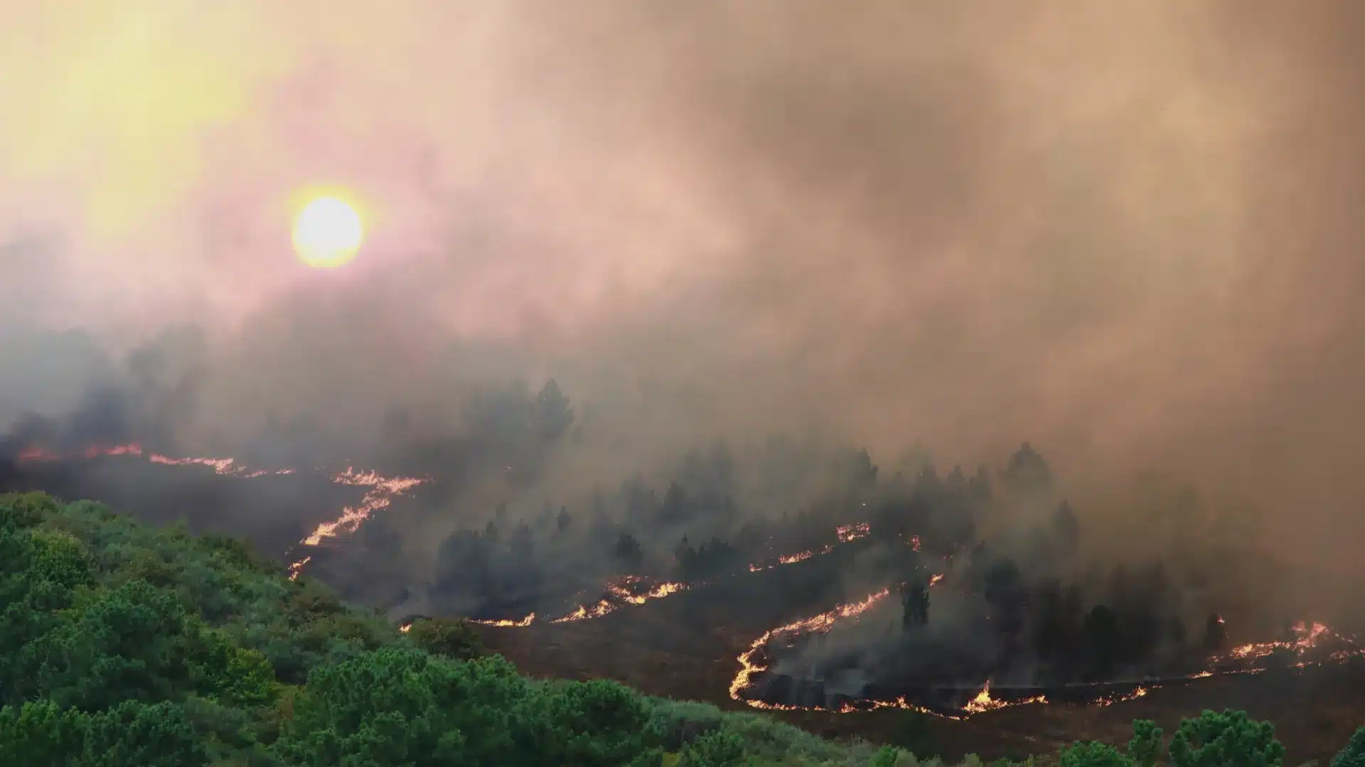 Les incendies ont consumé 34 000 hectares dans des zones protégées jusqu'au 22 septembre.