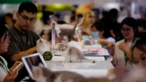 L'industrie manufacturière chinoise se redresse en août.
