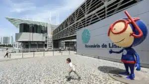 L'Oceanário de Lisbonne rouvre la "maison" des manchots presque un an après.