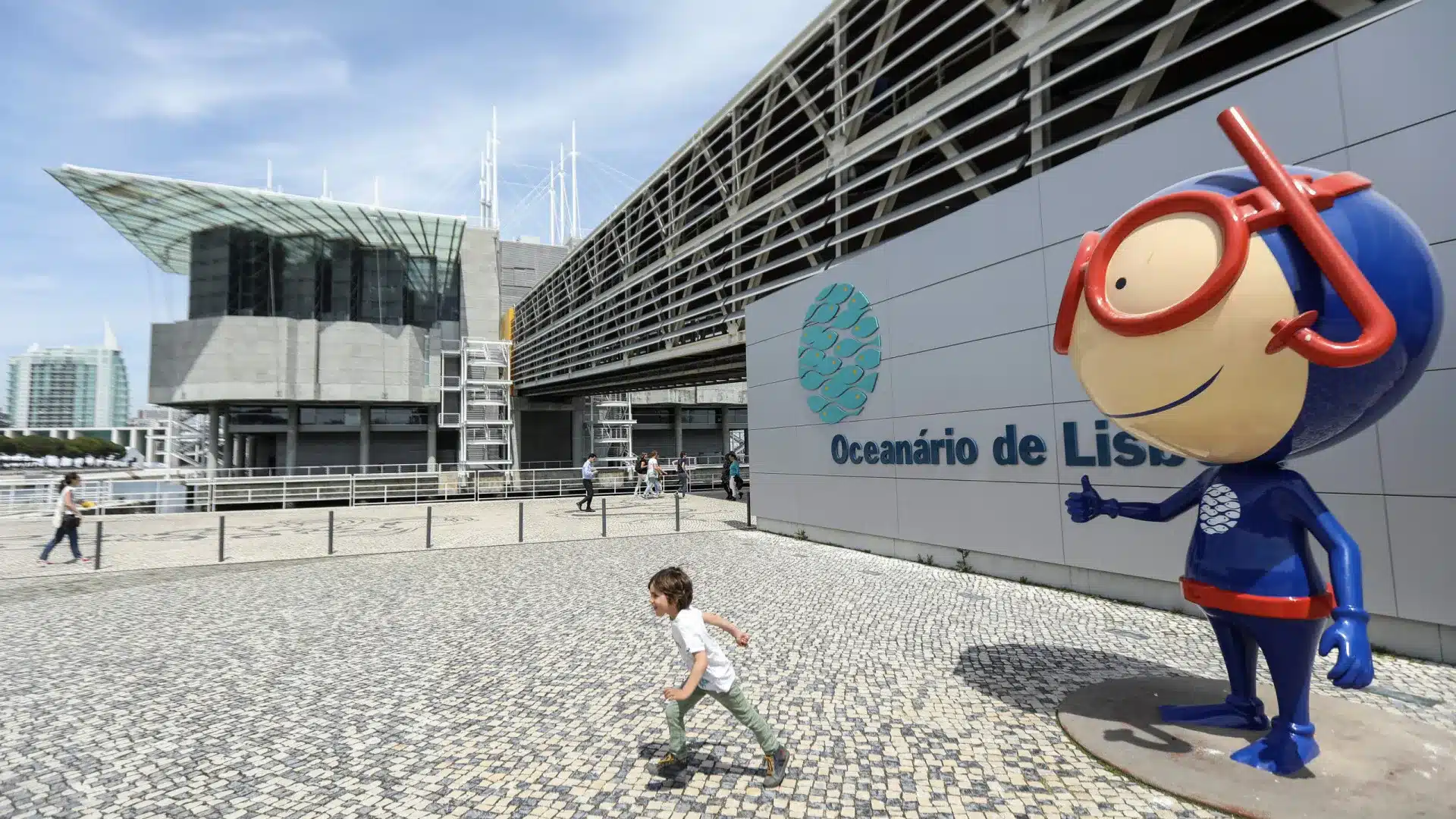 L'Oceanário de Lisbonne rouvre la "maison" des manchots presque un an après.