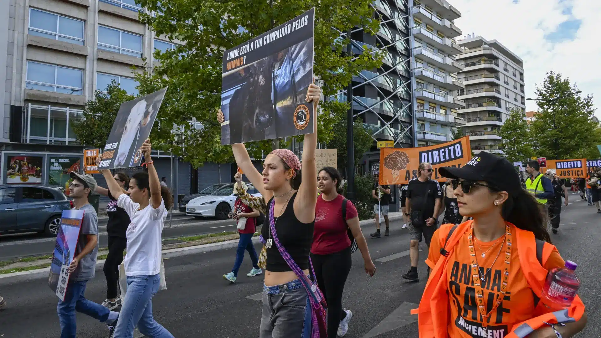 Marche pour les droits de "tous les animaux" à Lisbonne. Les images