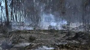 Pluie Protection Civile alerte sur les mesures préventives dans les zones brûlées.