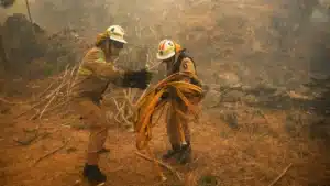 Plus de 200 opérateurs soutenus par 10 moyens aériens combattent le feu à Seia.