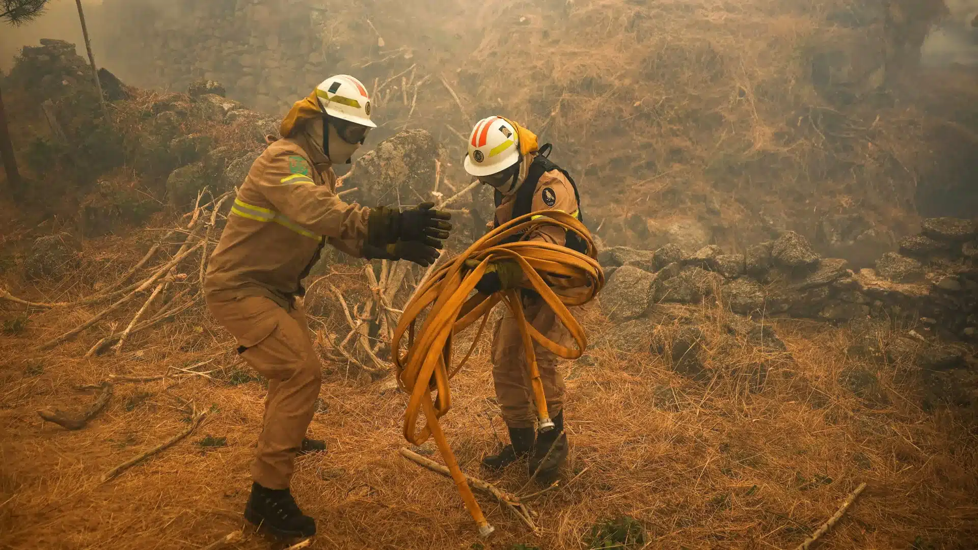 Plus de 200 opérateurs soutenus par 10 moyens aériens combattent le feu à Seia.